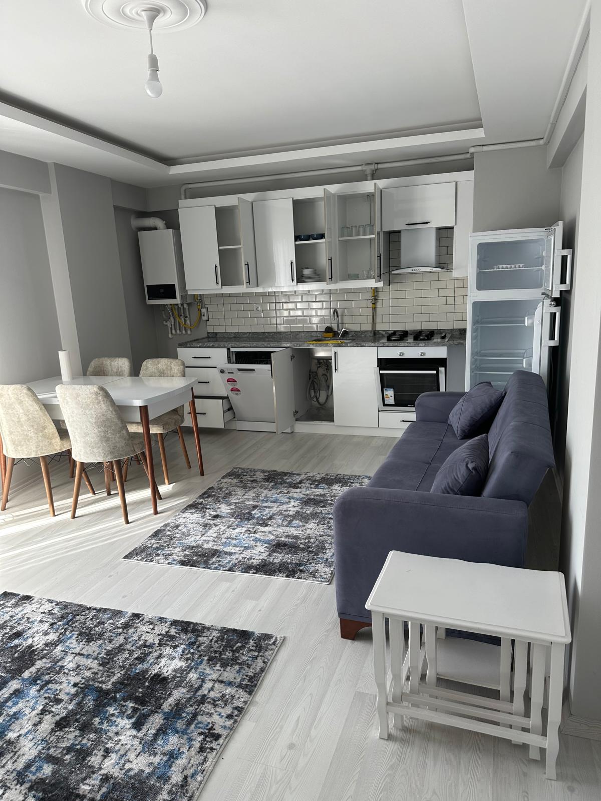 TEYYAREDÜZÜ MH. EŞYALI 1+1